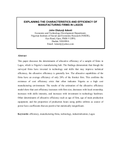 empirical analysis of the economic efficiency of