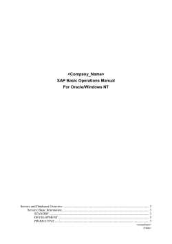SAP Sample Operating Manual (Oracle/NT/31H)