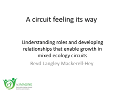 Langley Mackerell Hey: A circuit feeling it`s way