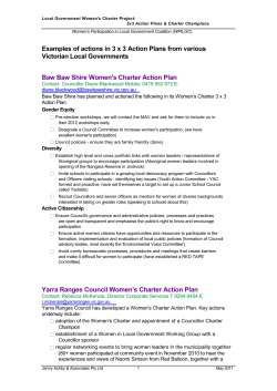 Example of a council 3 x 3 Action Plan.doc