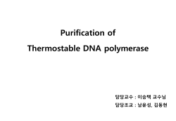 Purification of Thermostable DNA polymerase 담당교수 : 이승택