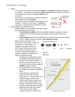 Ch 19 The Nucleus Notes