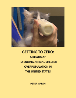 getting to zero - Shelter Overpopulation Solutions