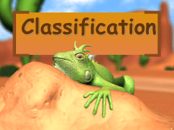 Chapter 18 Classification