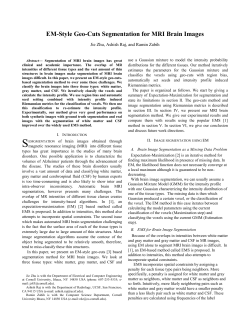 B. Geo-cuts for Brain Image Segmentation