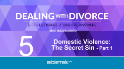 Displacement of tension Reasons for Domestic Violence