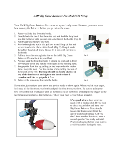 AMS Big Game Retriever Pro Model 611 Setup