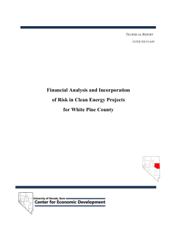 Financial Analysis and Incorporation of Risk in Clean Energy