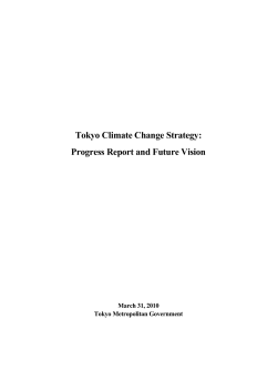 Tokyo Climate Change Strategy: Progress Report