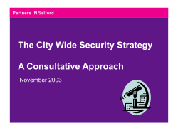 a) Corporate Security Strategy