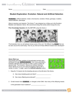 Evolution: Natural and Artificial Selection