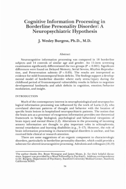 Cognitive Information Processing in Borderline Personality Disorder