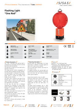 Flashing Light &ldquo;One Red&rdquo;