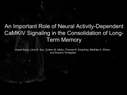 An Important Role of Neural Activity