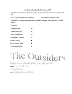 Honors: The Outsiders Assessment Tic Tac Toe