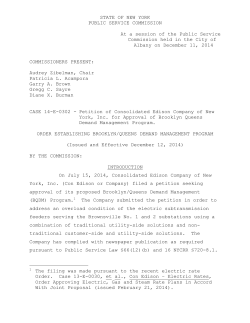 Order Establishing Brooklyn/Queens Demand Management Program