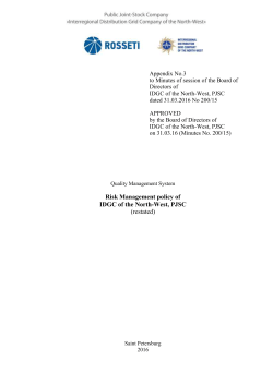 Risk Management policy of IDGC of the North