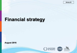 Annex B &ndash; Financial Strategy - North East Lincolnshire Council