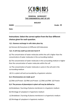 Instructions: Select the correct option from the four different choices