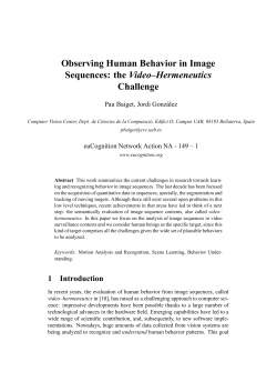 Observing Human Behavior in Image Sequences: the Video
