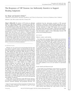 The Responses of VIP Neurons Are Sufficiently Sensitive to Support