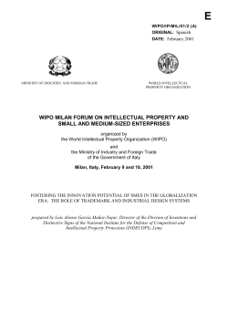 El Fomento del Potencial de Comercializaci&oacute;n de las PYME