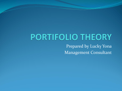 portifolio theory