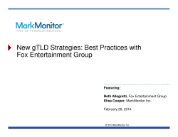 New gTLD Strategies: Best Practices with Fox Entertainment Group