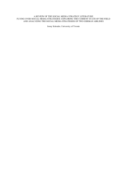 a review of the social media strategy literature flying over social