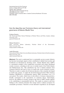 Into the deep blue sea: Commons theory and international