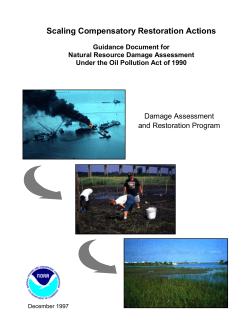 Scaling Compensatory Restoration Actions Guidance Document for