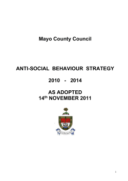 Anti-Social Behaviour Strategy 2010