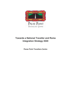 Towards a National Traveller and Roma Integration Strategy 2020
