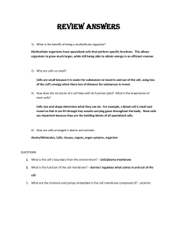 review answers