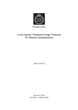 Local Spatio-Temporal Image Features for Motion Interpretation