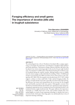 Foraging efficiency and small game: The importance of dovekie (Alle
