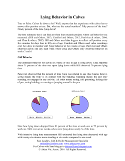 Lying Behavior in Calves