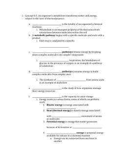 Ch 8 Notes Sketeton - Dublin City Schools
