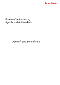 Borchers Anti-Skinning Agents and Antioxidants