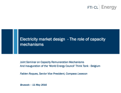 Electricity market design - The role of capacity mechanisms