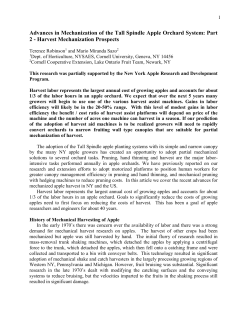 The Evolution Towards More Competitive Apple Orchard Systems in