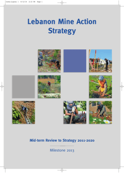 Lebanon Mine Action Strategy Mid-term Review to Strategy 2011-2020