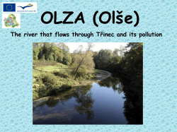OLZA (Ol*e)