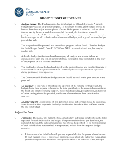 grant budget guidelines