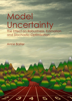 Model Uncertainty - Maastricht University Research Portal