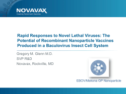 Rapid Responses to Novel Lethal Viruses