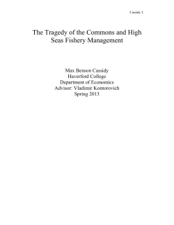 The Tragedy of the Commons and High Seas Fishery Management