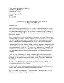 File - Winkin Sun Hemp