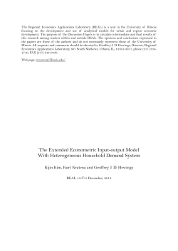 The Extended Econometric Input-output Model With Heterogeneous