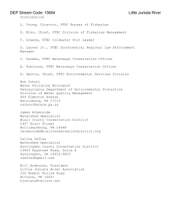 LET`S START A NEW REPORT FINALLY